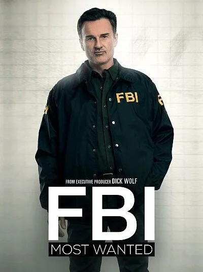 ФБР: Самые разыскиваемые преступники - постер сериала